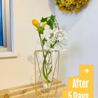 アリウム,フリージア,フリージア,アイビー,アイビー（ヘデラ）の画像