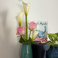 カラー,バラ,キッチン,ベランダ,玄関アプローチの画像