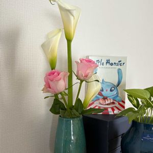 カラー,バラ,キッチン,ベランダ,玄関アプローチの画像