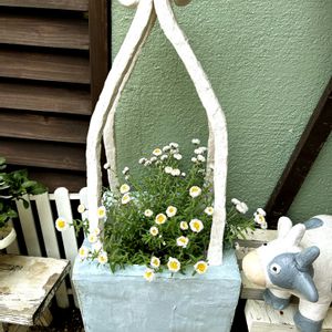 いつも見てくださってありがとう(๑>◡<๑),大好きな花かんざしさん,手仕事鉢カバー作り,やっときた春☆*:.｡. o(≧▽≦)o .｡.:*☆,玄関アプローチの画像