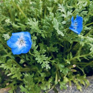 楽しみ〜,かわいい♡,太陽の光を浴びて,ありがとう♪,元気に育ちますようにの画像