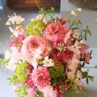 スカビオサ,ラナンキュラス,キュンキュン乙女倶楽部,HTC,【こまち多肉部】の画像