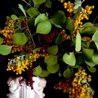 一九献上 和堂,"秘めた恋 ミモザの花を 贈ります",ドライフラワー,アカシアミモザ,一句献上　和堂の画像