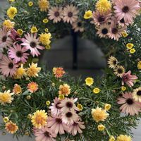 寄せ植え,リース,今日の一枚,花のある暮らし,お祝い花の画像