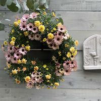 寄せ植え,リース,今日の一枚,花のある暮らし,お祝い花の画像