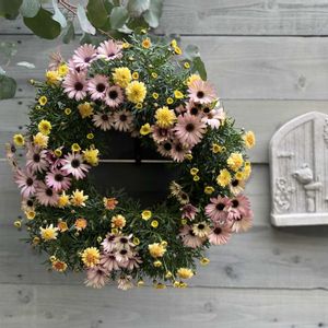 寄せ植え,リース,今日の一枚,花のある暮らし,お祝い花の画像