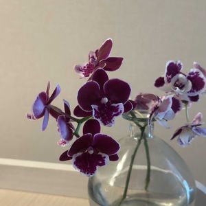 切り花,お花屋さん,花のある暮らし,ガラスの花瓶,町のお花屋さんの画像