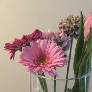 ガーベラ,チューリップ,切り花,お花屋さん,花のある暮らしの画像