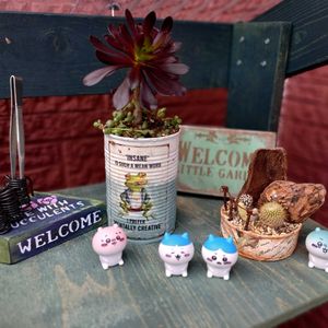 グリーンネックレス,黒法師,リメイク缶,多肉初心者,黒猫の画像