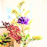 アネモネ,スターチス,ナンテンの画像