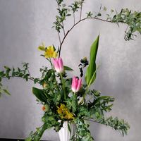 アルストロメリア,コデマリ,チューリップ,ドラセナ,モクレンの画像