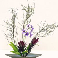 ドラセナ,リューココリネ,リューカデンドロン,雪柳（ゆきやなぎ）,生け花の画像