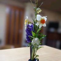 クリスマスローズ,スイセン,スイセン,ヒヤシンス,貝母百合・編笠百合(ばいもゆり・あみがさゆり)の画像