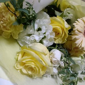 碧魚連,観葉植物,DIY,花束,花のある暮らしの画像