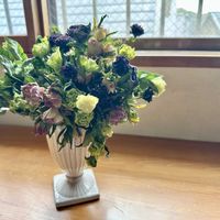 クリスマスローズ,クリスマスローズ,ドライフラワー,クリスマスローズのドライフラワーの画像