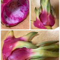 ドラゴンフルーツの画像