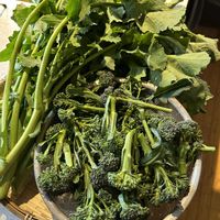 ブロッコリー,ノラボウ菜,収穫物,春野菜,市民農園の画像