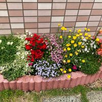 ガーデニング,マンション専用庭,庭の画像