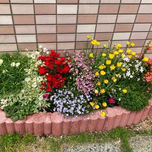 ガーデニング,マンション専用庭,庭の画像