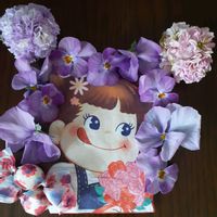 ストック,パンジー,ビオラ,ラナンキュラス・綾リッチ,バラと夢CLUBの画像