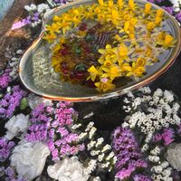 スターチス,スターチス,おでかけ先,花手水の画像