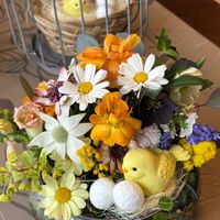 クリスマスローズ,クリスマスローズ,ダイアンサス,フランネルフラワー,フランネルフラワーの画像