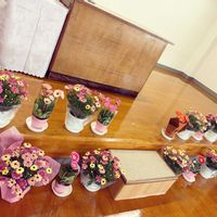 ガーベラ,マーガレット,リーガス･ベゴニア,お花屋さん,熊本の画像