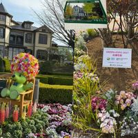 シャクナゲ,チューリップ,バイモ,バラ,ユキヤナギの画像