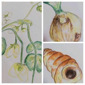 自己流,春のお花,はるが来た！,優しい色,楽しい時間の画像