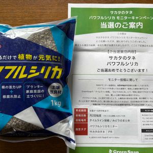 ガーデニング,楽しみ〜,今日の一枚,夏野菜,植物だいすきの画像