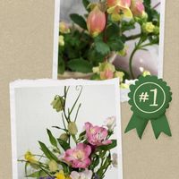 アルストロメリア,バイモユリ,カランコエウェンディ,チーム愛知,すずガーデンの画像