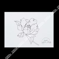 サザンカ,OCデッサンの画像