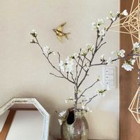 サクラ,ソメイヨシノ,玄関内側の画像