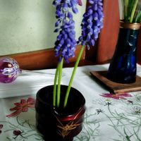 ヤブランの画像