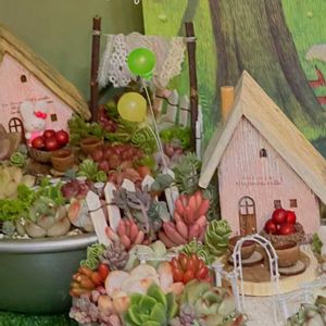 セダム,セダム,エケベリア,オーロラ,虹の玉の画像