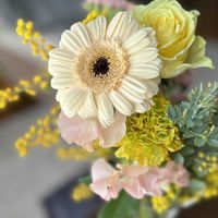 カーネーション,ガーベラ,バラ,ミモザ,アレンジの画像