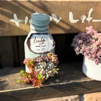 寄せ植え,多肉寄せ植え,リメ鉢,ジャンクガーデン,サビサビ好きの画像