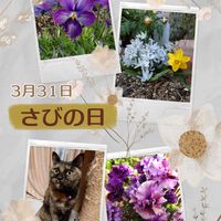 シラー,スイセン,さび猫,さび猫,シラー『ミスクトスケンコアナ』の画像