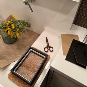 ミモザ,ミモザ,ミモザアカシア,ギンヨウアカシア,ミモザ（ギンヨウアカシア）の画像