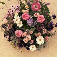 ハーデンベルギア,ラナンキュラス,ビオラ,寄せ植え,ピンクの花の画像