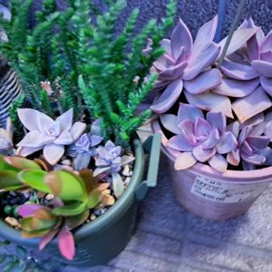 階段/廊下の画像