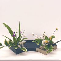 シラン,ヤマブキ,啓翁桜,山吹,紫蘭の画像