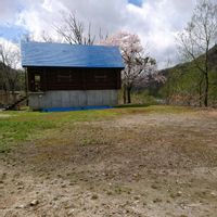 サクラ,サクラ,さくら サクラ 桜,さくら サクラ 桜,花言葉の画像