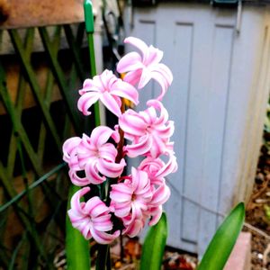 アプローチの画像