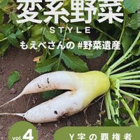 大根,野菜のある暮らし,野菜遺産,野菜遺産PROJECT,家庭菜園の画像