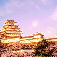 サクラ,さくら サクラ 桜,姫路城♪,国宝姫路城,お花の画像