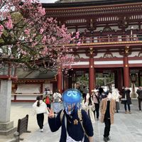 ツワブキ,梅の花,梅の花の画像