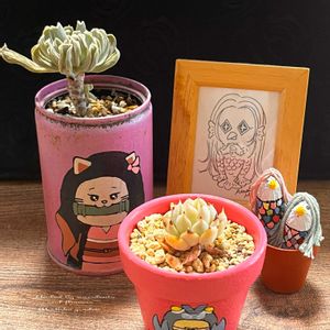 カランコエ,ラナンキュラス,エケベリア,スプレンダー,ラナンキュラス　ラックスの画像