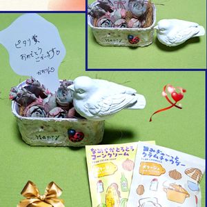 白桃,クロアチアローズ,クロアチアローズ,多肉大好き,ちまちま寄せの画像