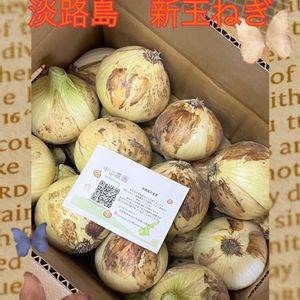 玉ねぎ,野菜,新玉ねぎ,美味しい,食べる楽しみの画像